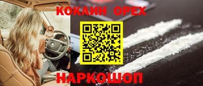 молекула духа Заводоуковск