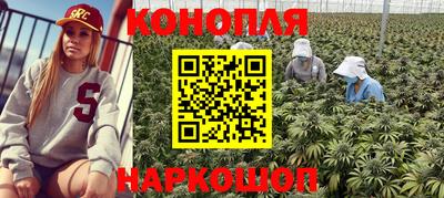 молекула духа Заводоуковск